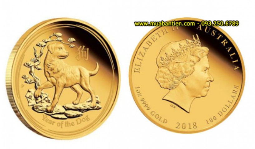 Sáng tạo với tiền xu con chó mạ vàng cho quà tết thêm ý nghĩa