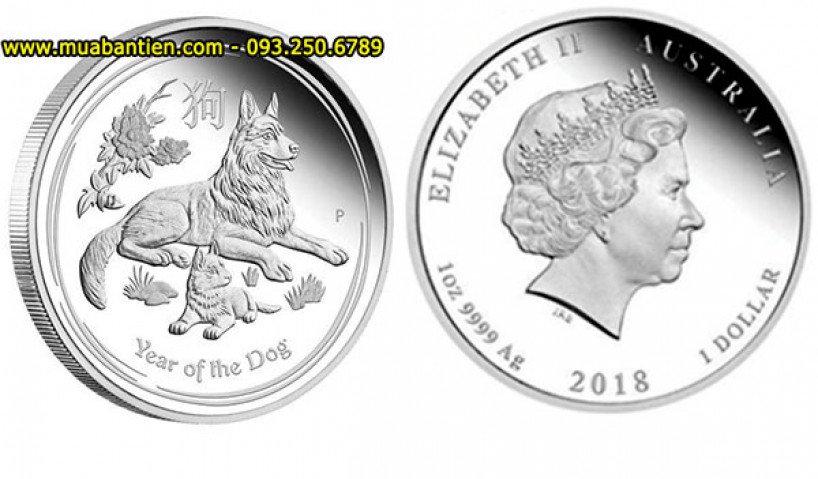 5 lý do bạn nên tri ân khách hàng bằng tiền xu hình con chó