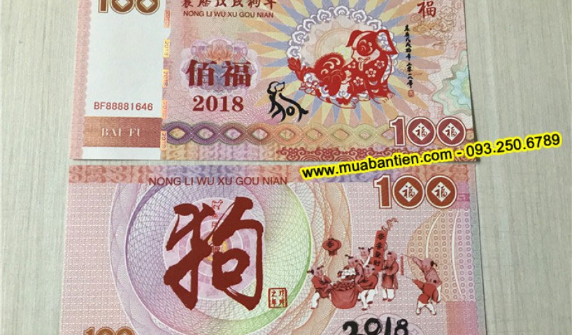 So sánh tiền con chó Úc và tiền con chó Macao - Loại nào tốt?
