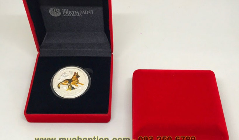 Mua tiền hình con chó ở đâu giá tốt, uy tín, chất lượng nhất?